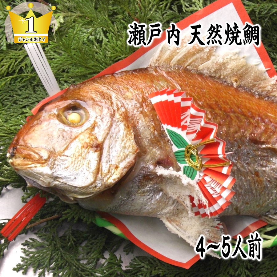 お食い初め 鯛】【送料無料】 【祝い鯛】 天然焼き鯛 850gアップ 