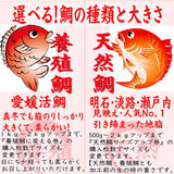 【選べる】お食い初め セット 天然焼鯛・赤飯・蛤、必要なものが全て入ったセット。淡路・明石・瀬戸内の天然鯛を炭火で焼き上げました。（５００ｇ）お客様のニーズに合わせて、蛤・赤飯・焼き鯛を選んで頂けます。百日祝にも、鯛の塩焼き【尾頭付き鯛】【お食い初め　鯛】