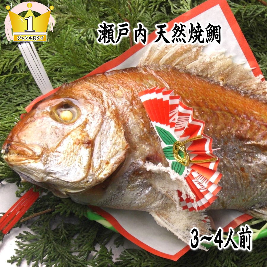 正月用品　伊万里中皿＆輪島木製漆器お膳　骨董品　にらみ鯛焼き鯛祝い鯛　お食い初め 祝い鯛・にらみ鯛＞ 明石・淡路島産 天然真鯛 炭火焼 – お食い初め 鯛