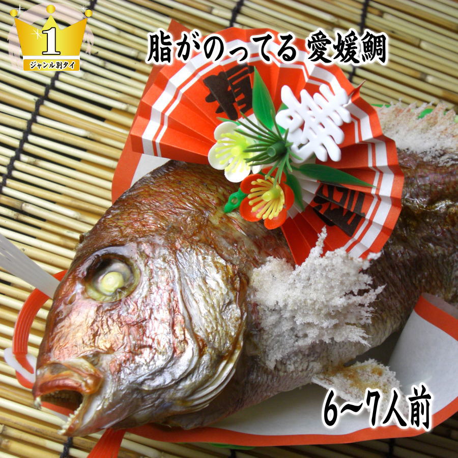 正月用品　伊万里中皿＆輪島木製漆器お膳　骨董品　にらみ鯛焼き鯛祝い鯛　お食い初め 祝い鯛・にらみ鯛＞ 愛媛県産 養殖真鯛 炭火焼 – お食い初め 鯛将丸